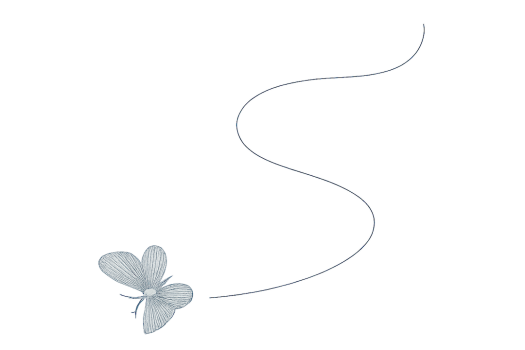 ChatGPT Image 10:20:25_butterfly & trail