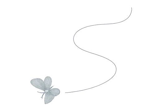 ChatGPT Image 10:20:25_butterfly & trail